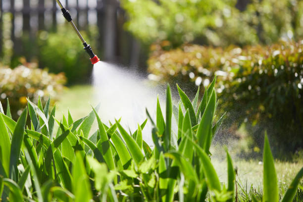 24/7 Emergency Wasp Removal experts in Quantico Base, VA