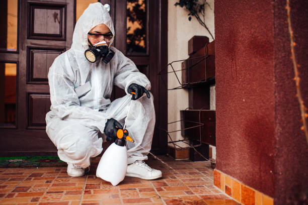 Reliable Wasp Removal contractor in Quantico Base, VA by Show Me Pest Control