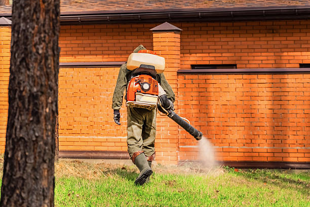 Top rated local Wasp Removal specialists in Quantico Base, VA